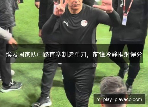 埃及国家队中路直塞制造单刀,前锋冷静推射得分 埃及国家队中路直塞制造单刀,前锋冷静推射得分